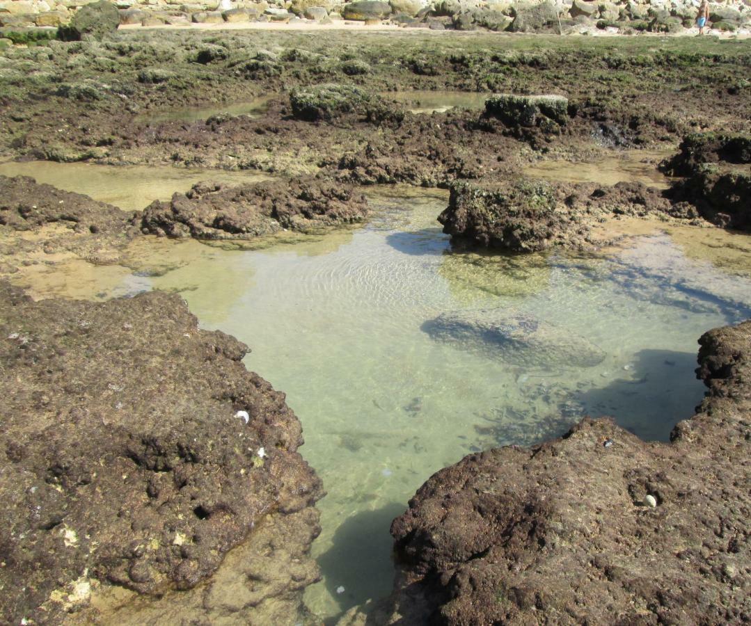 Apartamento Mica 阿尔布费拉 外观 照片